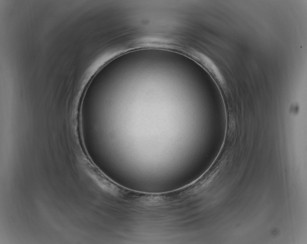 X0000096971435200802151258