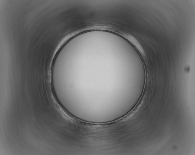 X0000096971436200802151258