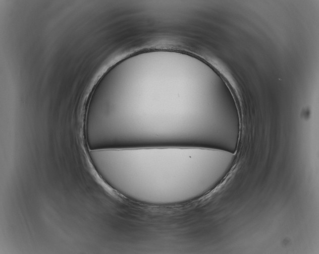 X0000096971437200802151258