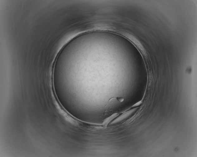 X0000096971439200802151258