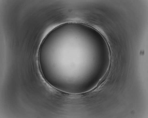X0000096971440200802151258