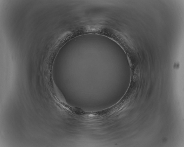 X0000096971441200802151258