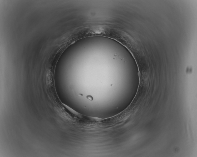 X0000096971442200802151258