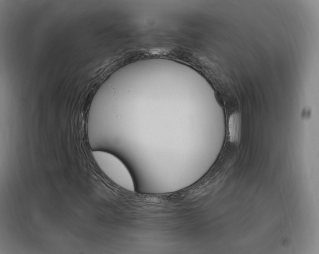 X0000096971443200802151258