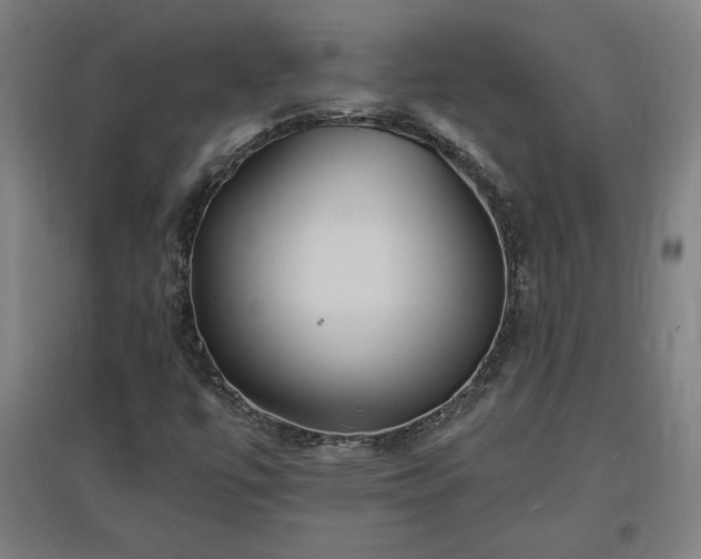 X0000096971447200802151258