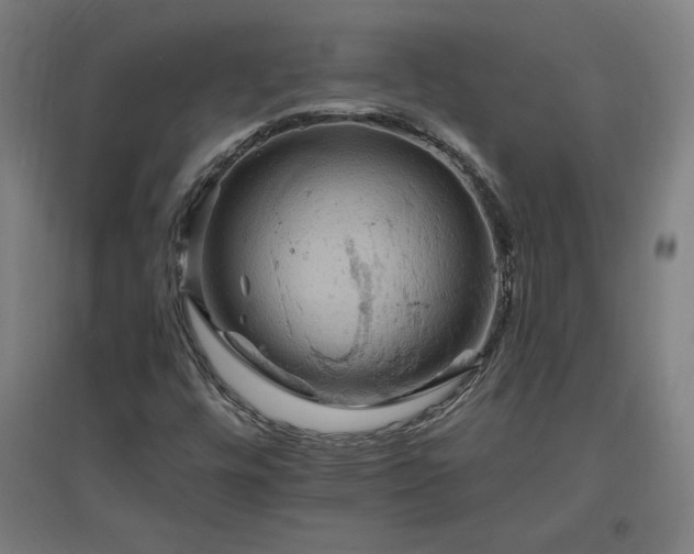 X0000096971448200802151258