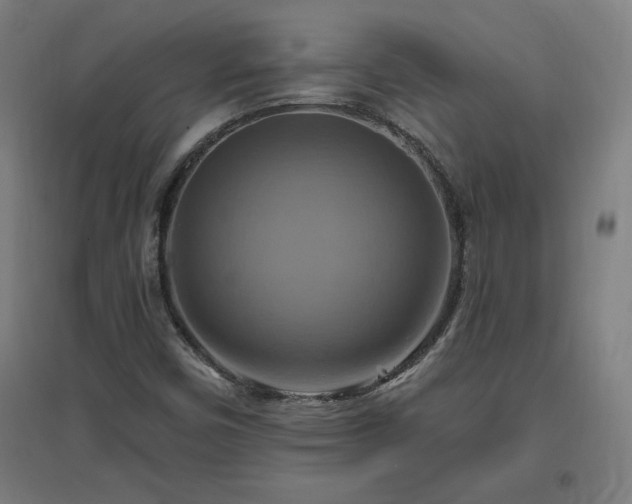 X0000096971450200802151258