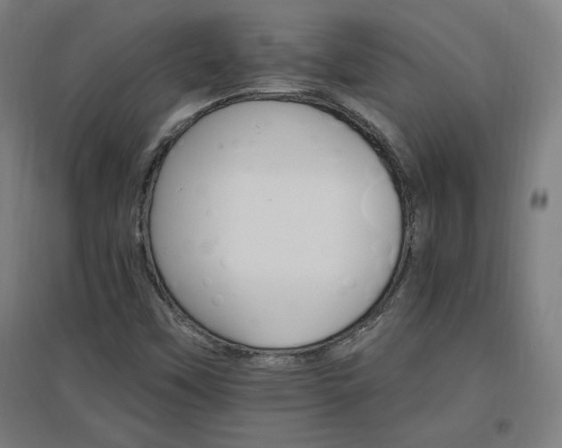 X0000096971451200802151258