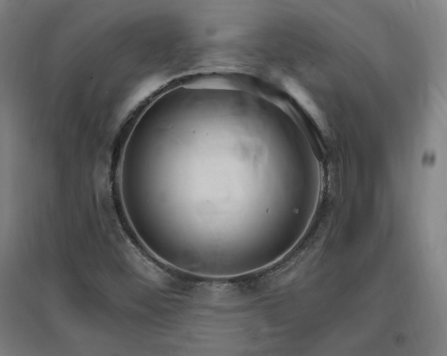 X0000096971452200802151258