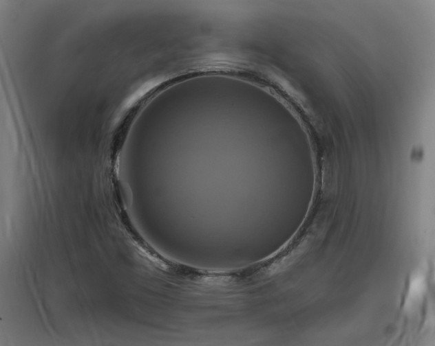 X0000096971453200802151258