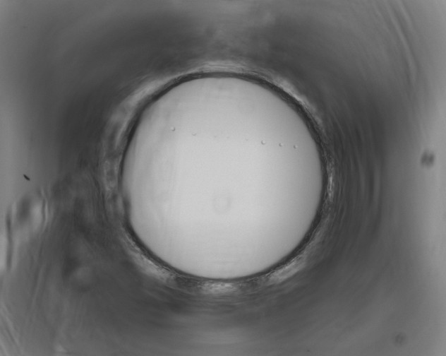 X0000096971454200802151258