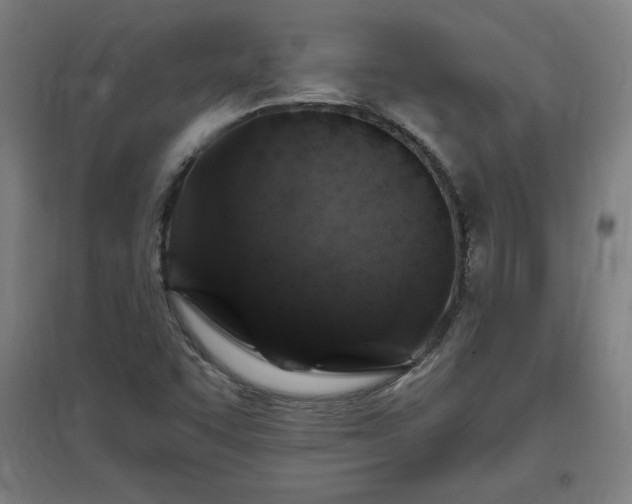 X0000096971455200802151257
