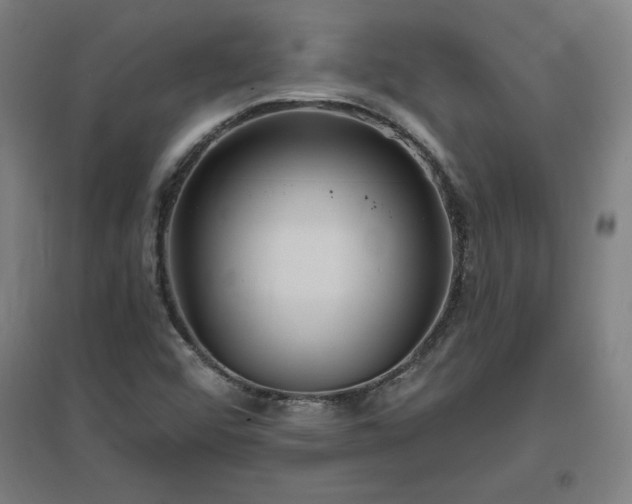 X0000096971456200802151257
