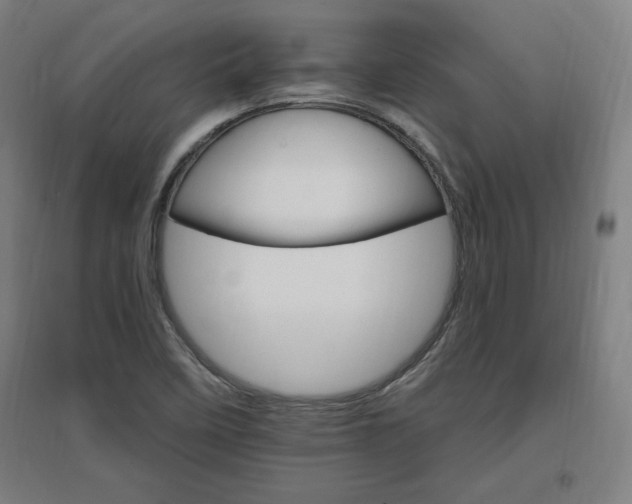 X0000096971458200802151257