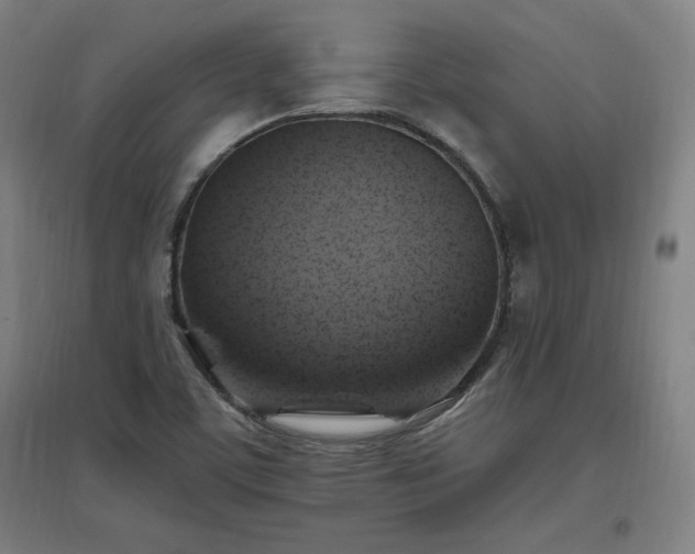 X0000096971459200802151257
