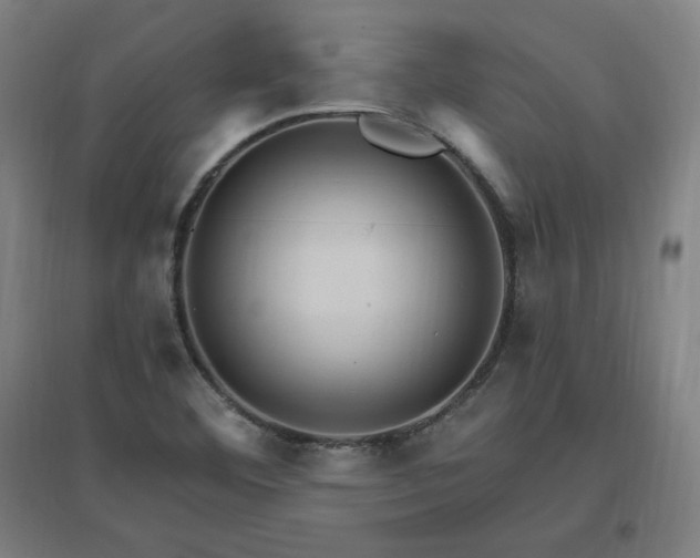 X0000096971460200802151257