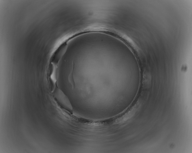 X0000096971461200802151257