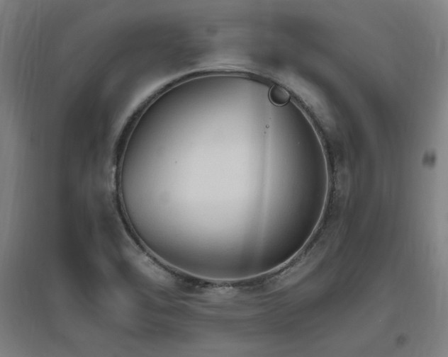 X0000096971462200802151257