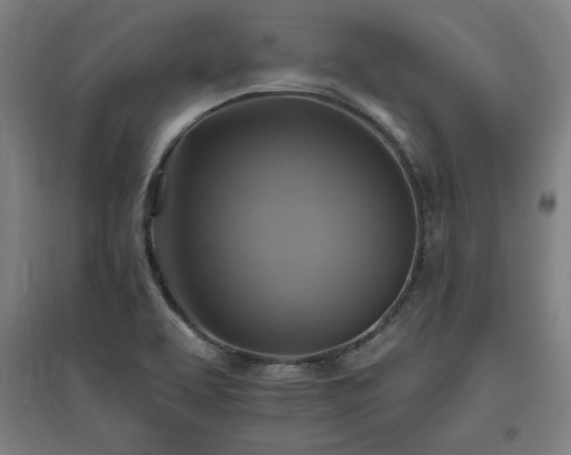 X0000096971463200802151257