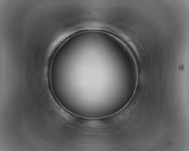X0000096971464200802151257