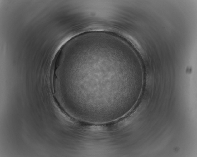 X0000096971465200802151257