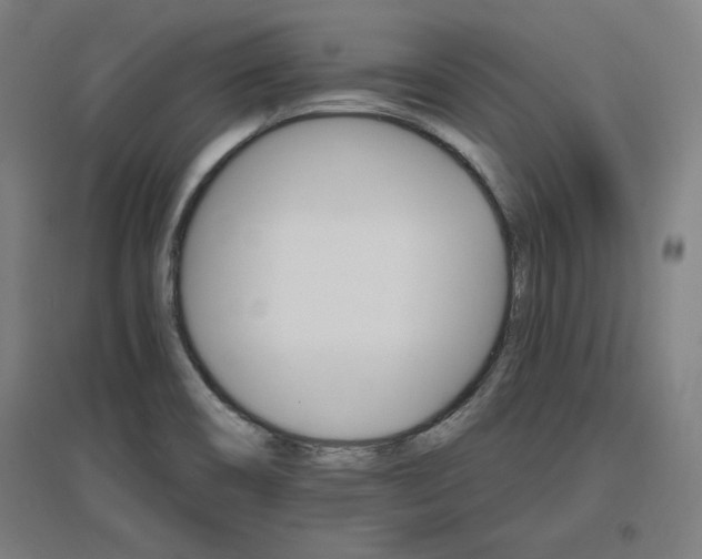 X0000096971466200802151257