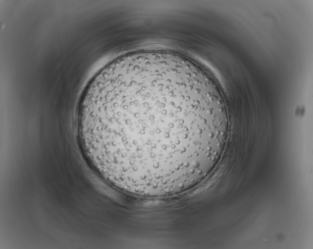 X0000096971467200802151257