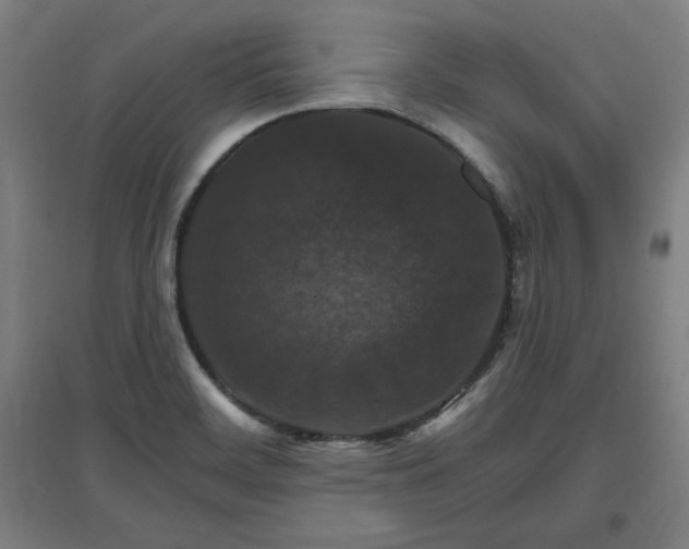 X0000096971468200802151257