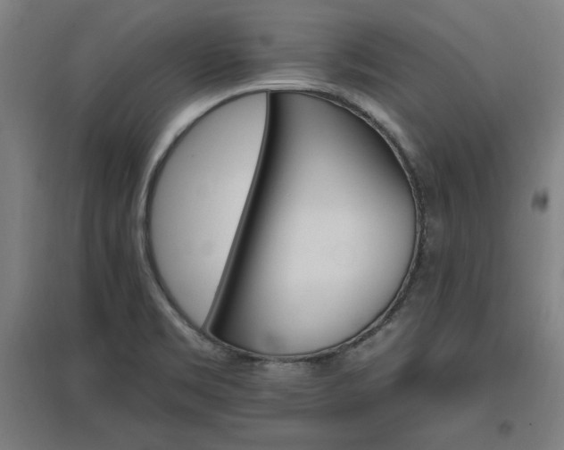 X0000096971469200802151257