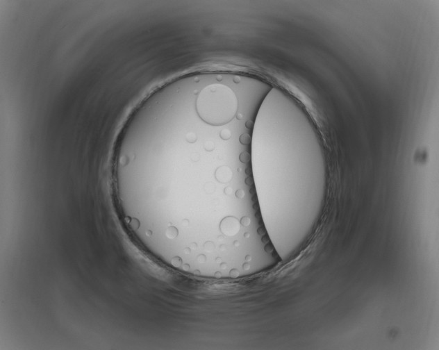 X0000096971471200802151257