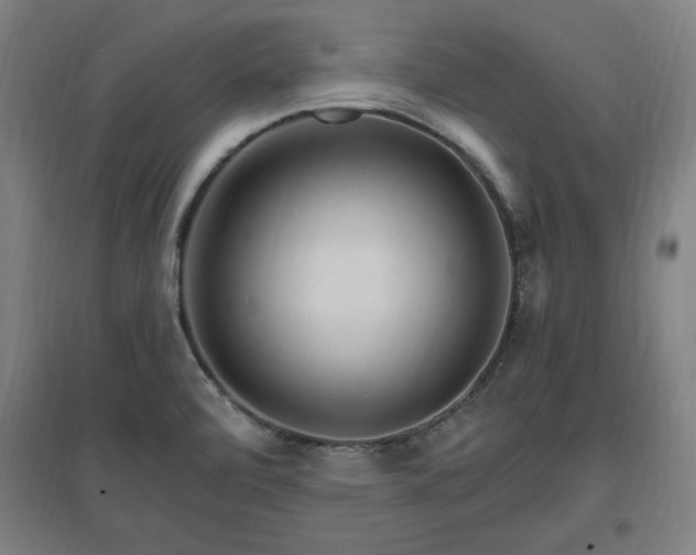 X0000096971472200802151257