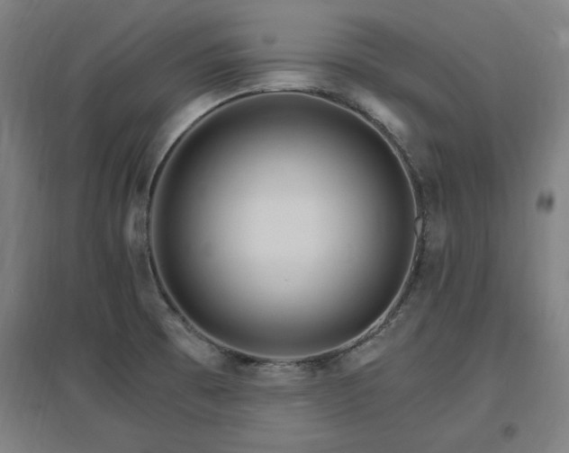 X0000096971473200802151257