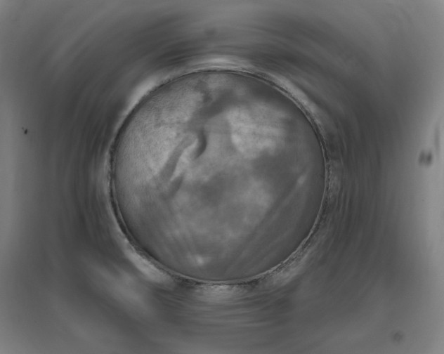 X0000096971474200802151257