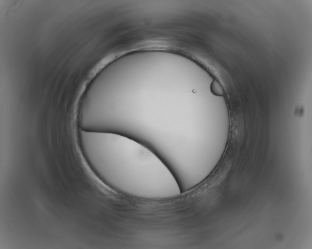 X0000096971475200802151257