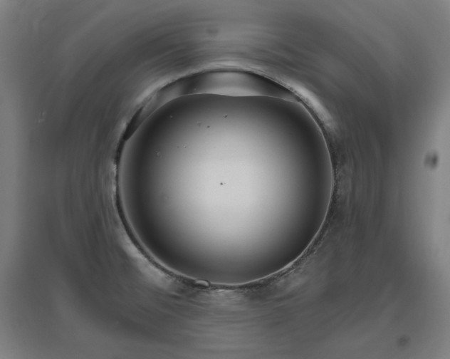 X0000096971476200802151257