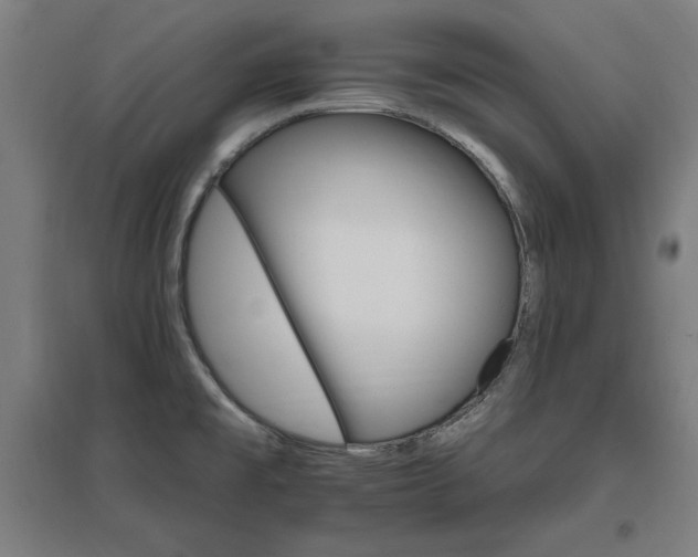 X0000096971477200802151257