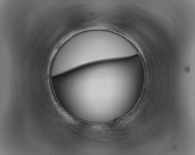 X0000096971480200802151257