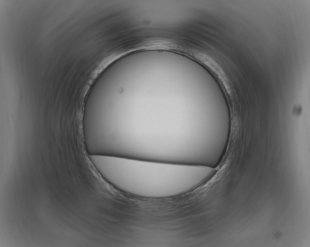 X0000096971481200802151257