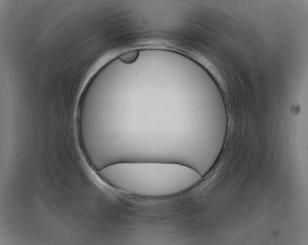 X0000096971482200802151257