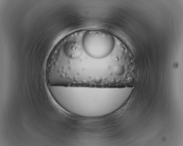 X0000096971483200802151257