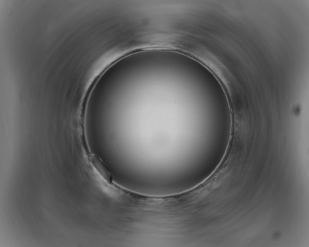 X0000096971485200802151257