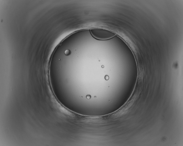 X0000096971486200802151257