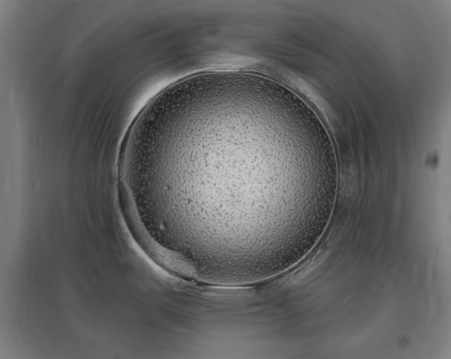 X0000096971487200802151257
