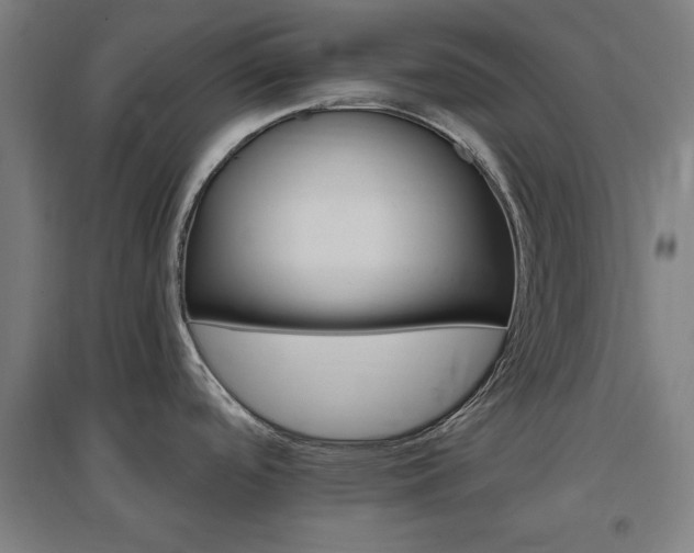 X0000096971488200802151257