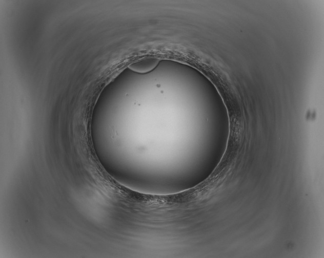 X0000096971489200802151256
