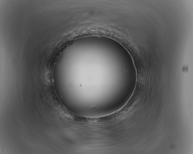 X0000096971490200802151256