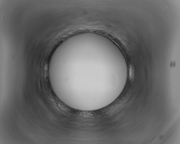 X0000096971492200802151256