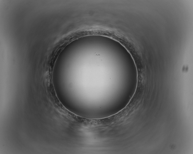 X0000096971493200802151256