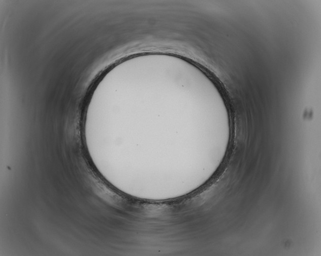 X0000096971498200802151257
