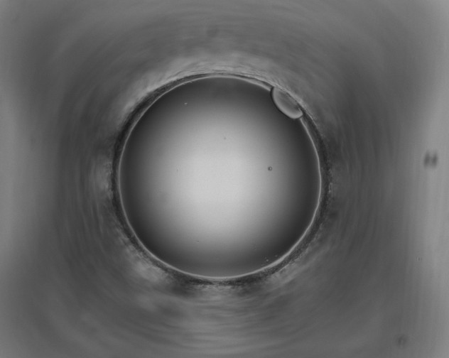X0000096971499200802151257